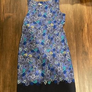 Talbots Sleeveless Blue Floral Cotton/Poly Blend Dress Size Small